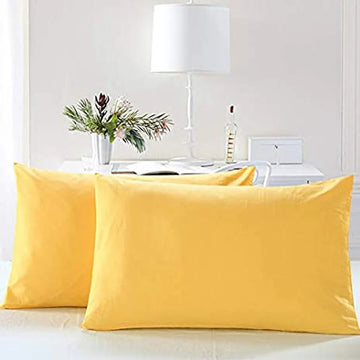 Pair-Velvet pillow cover
